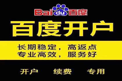 SEM竞价托管代运营助力转化率提升